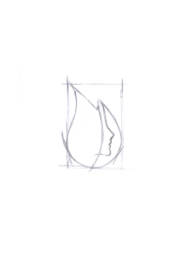 logo_flamelab_